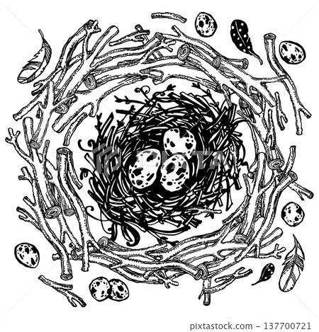 Nest among scattered tree branches Nest among scattered tree branches 137700721