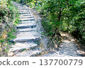 Stairs surrounded by greenery 137700779