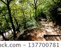 Promenade surrounded by fresh greenery 137700781