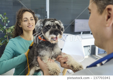 Vet examines Miniature Schnauzer with owner support during pet healthcare visit Vet examines Miniature Schnauzer with owner support during pet healthcare visit 137701041