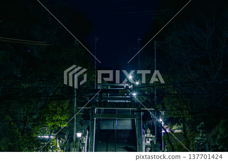 Night photography 137701424