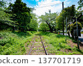 Railroad surrounded by fresh greenery 137701719
