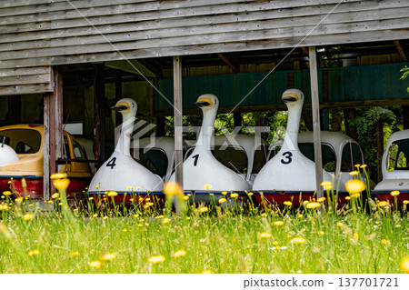 Duck boat Duck boat 137701721