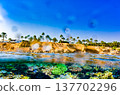 Underwater world in tropical ocean. 137702296