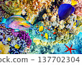 Underwater world in tropical ocean. 137702304