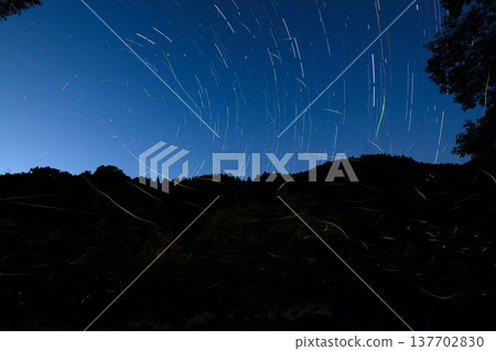Mie Prefecture: A summer scene with starry skies and dancing fireflies. 137702830
