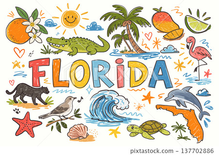Florida symbols doodle set with alligator, flamingo, orange blossom and palm 137702886