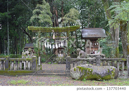 A moss-covered torii gate and a small shrine of a historic temple: a sacred landscape nestled in the forest of a fishing town. 137703440