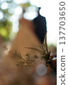 A bouquet of herbs; the soft bokeh effect is beautiful. 137703650