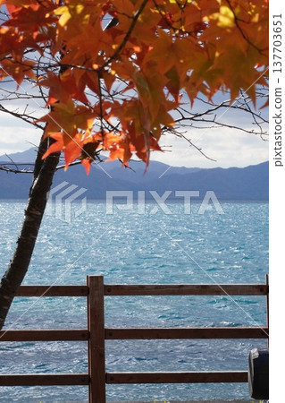 支笏湖:秋日湖上的紅楓葉美景。 支笏湖:秋日湖上的紅楓葉美景。 137703651