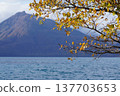 Lake Shikotsu: A spectacular view of autumn foliage, the lake surface, and the mountains. 137703653