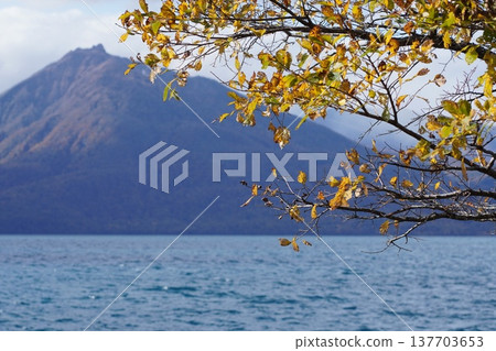 支笏湖:秋葉、湖面和山脈交相輝映,景色壯麗。 支笏湖:秋葉、湖面和山脈交相輝映,景色壯麗。 137703653