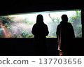 People gazing at terrariums; fantastical silhouettes of light. 137703656