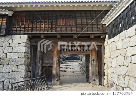Iyo Matsuyama Castle, Izutsu Gate 137703794