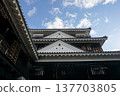 Iyo Matsuyama Castle, Main Tower 137703805