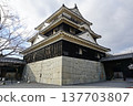 Iyo Matsuyama Castle, Main Tower 137703807