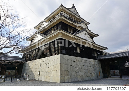 Iyo Matsuyama Castle, Main Tower Iyo Matsuyama Castle, Main Tower 137703807