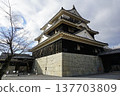 Iyo Matsuyama Castle, Main Tower 137703809