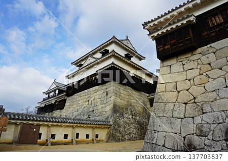 Iyo Matsuyama Castle Iyo Matsuyama Castle 137703837