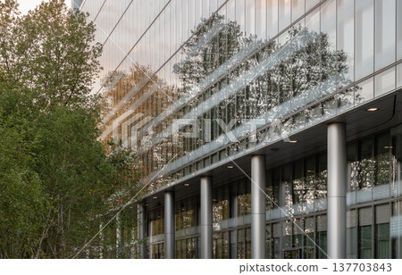 Linear precision meets the fluid textures of the forest, turning a modern reflection into a moment of quiet, upward stillness. Linear precision meets the fluid textures of the forest, turning a modern reflection into a moment of quiet, upward stillness. 137703843