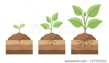 Minimal plant growth concept showing young seedlings growing into healthy green plants in soil Minimal plant growth concept showing young seedlings growing into healthy green plants in soil 137704102