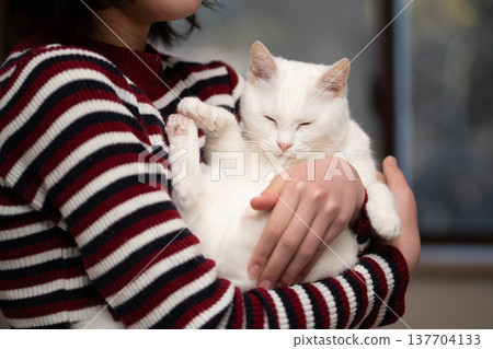 A white cat being held by its owner A white cat being held by its owner 137704133