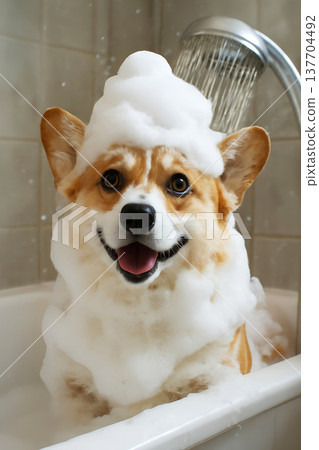 Happy corgi dog taking a shower with foam in the bathroom. Pet care product advertising, illustration for veterinary or grooming salons, humorous cards, calendars 137704492