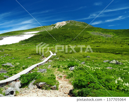 [Mountain scenery] Ishikawa Prefecture, Mt. Hakusan, Midagahara 137705064