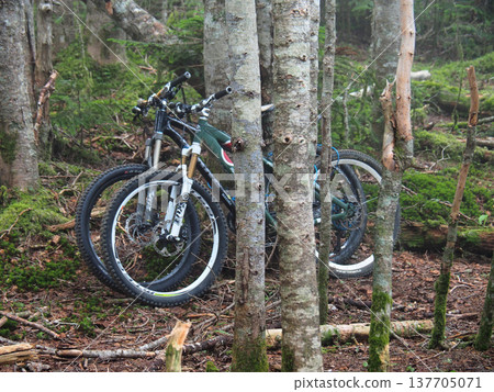 【山景】山梨縣鳳王山健行 - 林間騎行 137705071