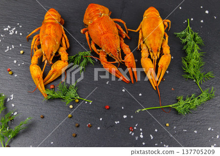 Red boiled crayfish with dill and spices on black slate background. Top view 137705209