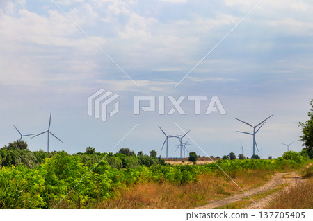 Wind turbines in a field. Renewable energy 137705405