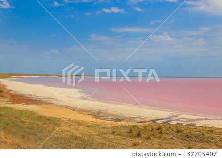 View of the pink salty Syvash lake in Kherson region, Ukraine 137705407