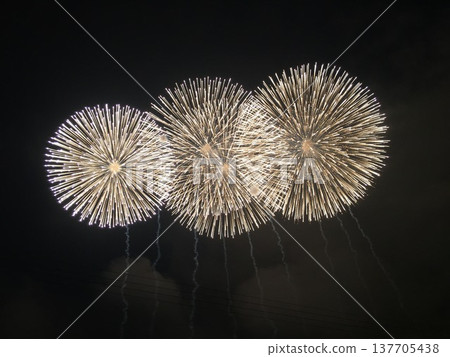 Large fireworks blooming in the night sky 137705438