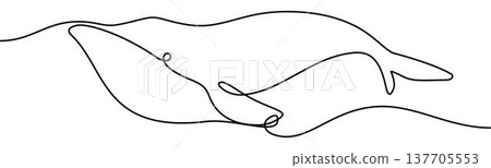 Whale in Water sign, minimalist ecological and environmental concept symbol, continuous line design, isolated on transparent background, vector illustration Whale in Water sign, minimalist ecological and environmental concept symbol, continuous line design, isolated on transparent background, vector illustration 137705553