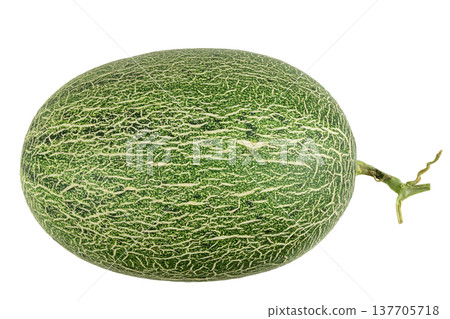 Green ripe melon on white background Green ripe melon on white background 137705718