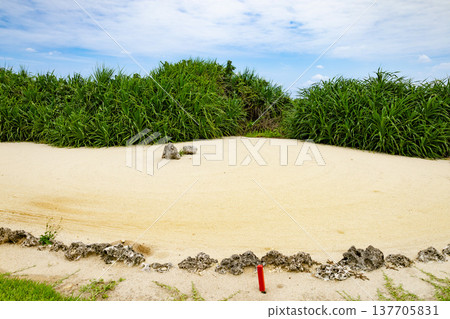 A refreshing blue sky over a beachside golf course, sandy bunkers, and a tropical resort landscape (Miyakojima City, Okinawa Prefecture) 137705831