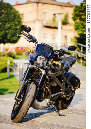 A vertical full-shot of a sleek black electric motorcycle with orange turn signals, parked on a paved walkway in a sunny urban park setting. A vertical full-shot of a sleek black electric motorcycle with orange turn signals, parked on a paved walkway in a sunny urban park setting. 137705875