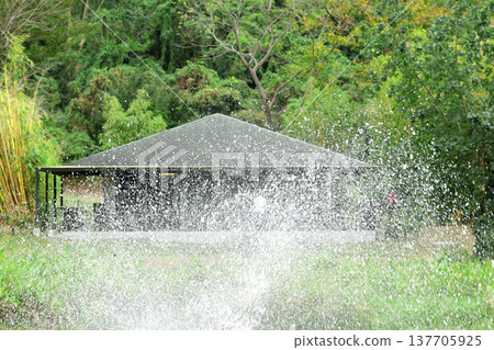 fountain in the garden fountain in the garden 137705925