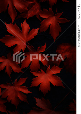 Red Maple Leaves on Dark Background. Image for Autumn Vertical Backgrounds, Seasonal Posters and Graphic Design 137706319