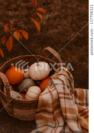 A woven basket filled with various orange and white pumpkins, placed on brown grass with a cozy plaid blanket draped beside it. Vertical wallpaper for seasonal social media advertising A woven basket filled with various orange and white pumpkins, placed on brown grass with a cozy plaid blanket draped beside it. Vertical wallpaper for seasonal social media advertising 137706321