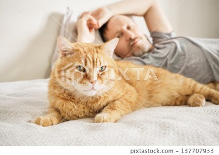 Orange tabby cat resting on white blanket with male owner in bed Orange tabby cat resting on white blanket with male owner in bed 137707933