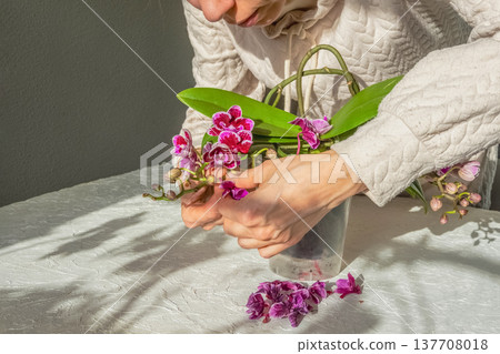 Drying and falling of flowers and buds in the Orchid. Drying and falling of flowers and buds in the Orchid. 137708018