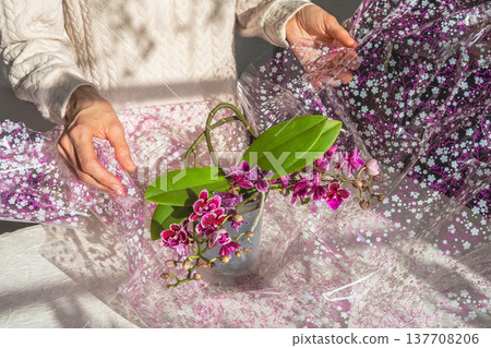 Packing a pot with a blooming orchid. Packing a pot with a blooming orchid. 137708206