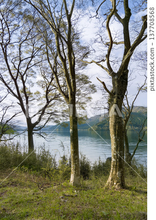 Morning at Lake Ashi, Hakone / Hakone, Kanagawa, Japan 137708568