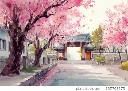 一座日式大門，櫻花盛開。 137708575