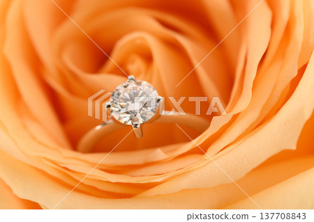Close-up of diamond ring on orange rose petals Close-up of diamond ring on orange rose petals 137708843
