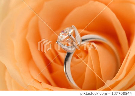 Close-up of engagement ring nestled in a peach-colored rose blossom Close-up of engagement ring nestled in a peach-colored rose blossom 137708844