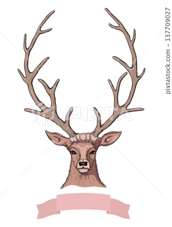 Vector Sketch of Beautiful Deer with ribbon 137709027