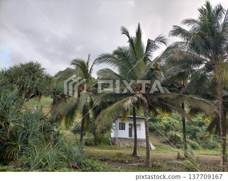 Great hostel in good sunset Great hostel in good sunset 137709167