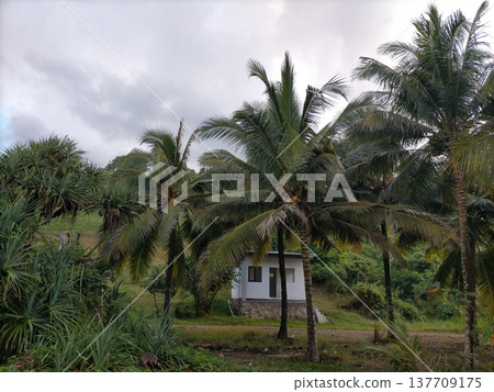 Great hostel in good sunset Great hostel in good sunset 137709175